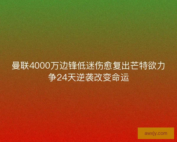曼联4000万边锋低迷伤愈复出芒特欲力争24天逆袭改变命运