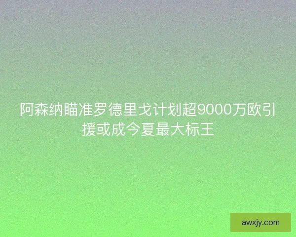 阿森纳瞄准罗德里戈计划超9000万欧引援或成今夏最大标王